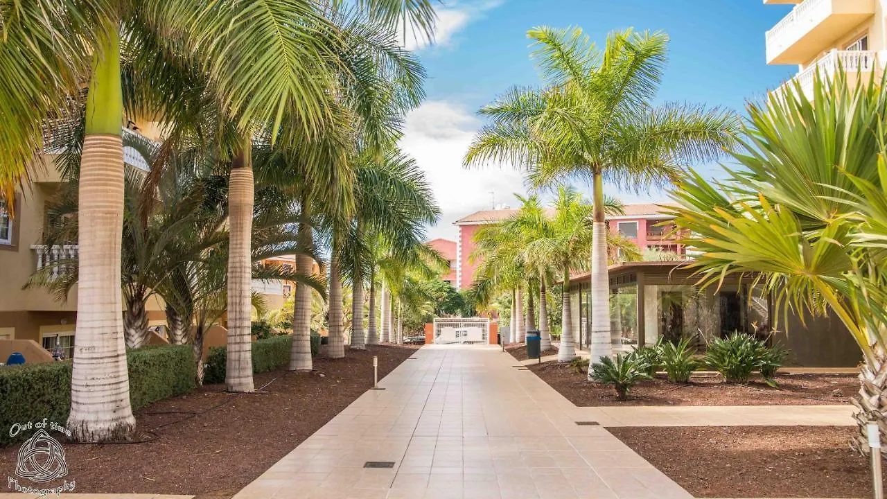 Two Bedroom Apartment In Palm Mar! Free Parking! Pm109 0*, Palm-mar